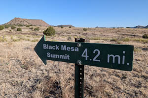 Texas and Oklahoma, Spring 2026
